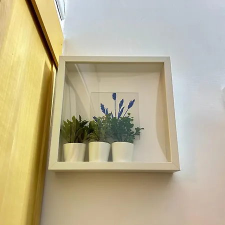 A 1 Bijou Apartment *